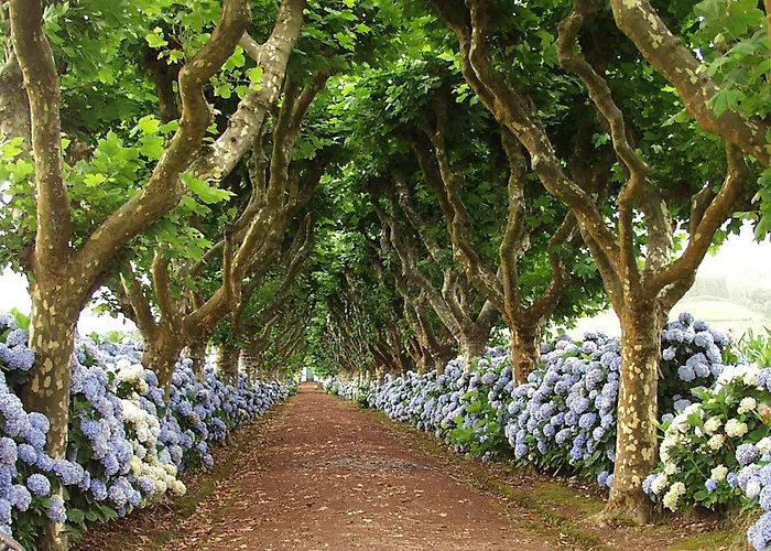 Lia's House Σπίτι διακοπών