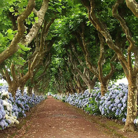 Lia's House بيت للعطل